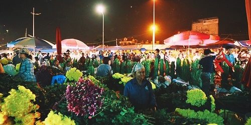 Flower Market in Tay Ho