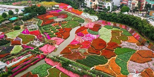Flower Valley in Tay Ho