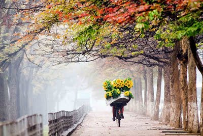 Autumn in Hanoi