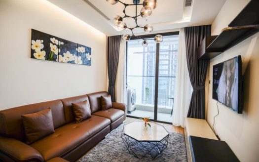 1 bedroom apartment in vinhomes metropolis