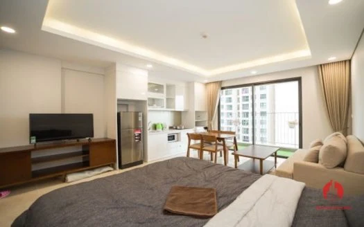 Studio apartment for rent in Vinhomes D’Capitale, Cau Giay
