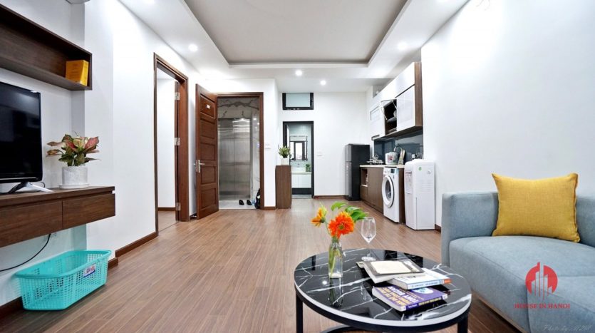 1BR apartment with SUPER LARGE BALCONY on Xuan Dieu street 3