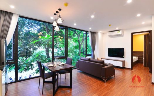 Modern bright 1BR serviced apartment for rent on Tu Hoa street 10