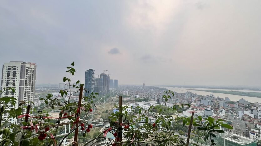 penthouse for rent in packexim 1 westlake (28)