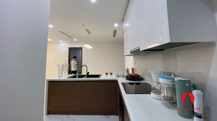 cheap 2 bedroom apartment in sunshine city 4