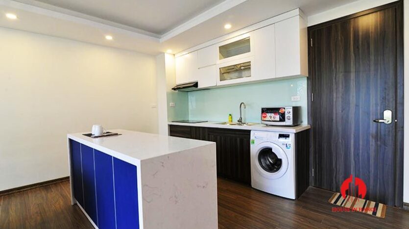 modern large 2 bedroom apartment on dang thai mai 6