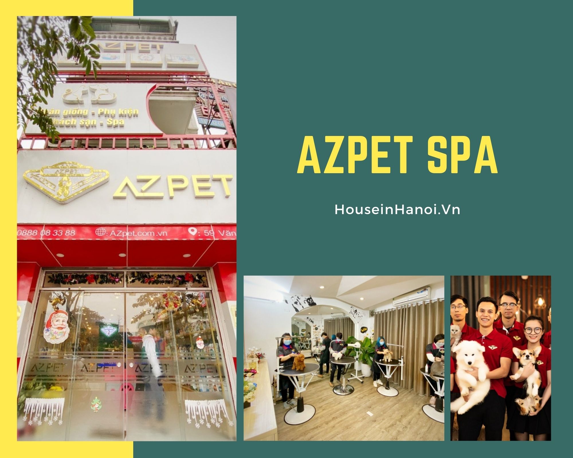 azpet hanoi