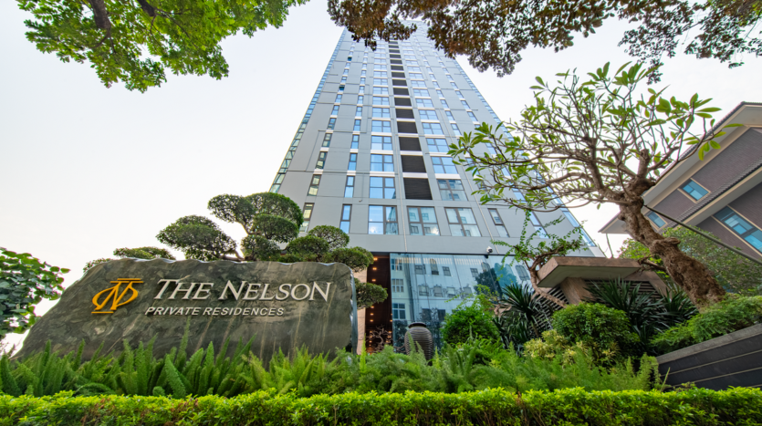 the nelson hanoi perspective