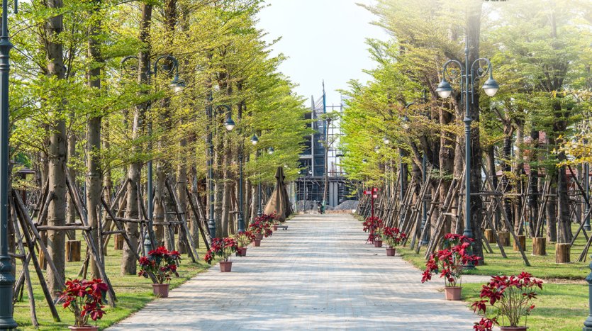 noble palace landed house for sale for foreigners in hanoi (12)