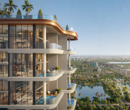 the rey previliges (2) the rey previliges (2)