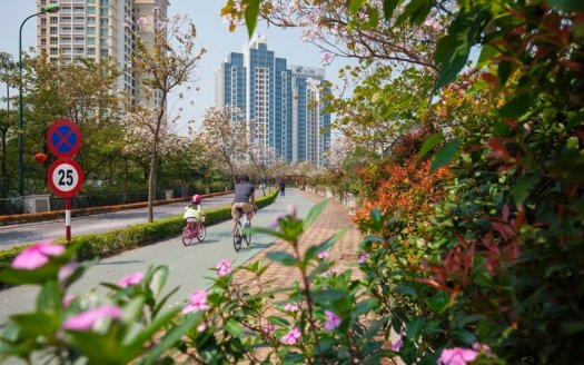 How a Korean Client Invested in a 3 Bedroom Apartment in tay ho