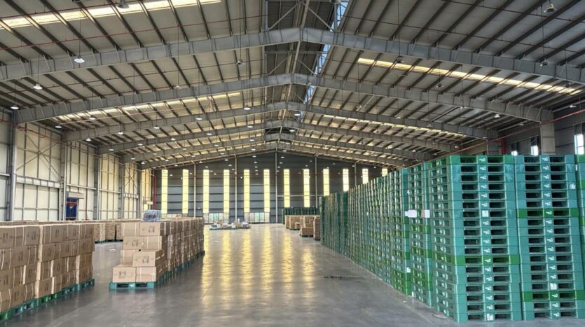 factories for rent in yen phong, bac ninh next to samsung (5)