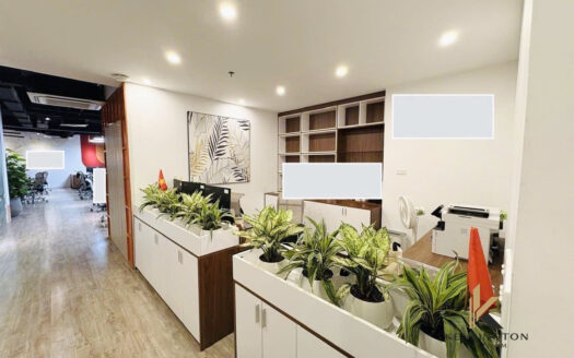 Spacious 225m² Office Space for Lease at N01-T2 Building in Diplomatic Corps, Hoang Minh Thao Street