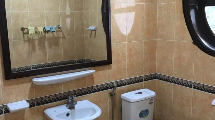 Spacious C villa in Ciputra Westlake for rent hanoi (1)